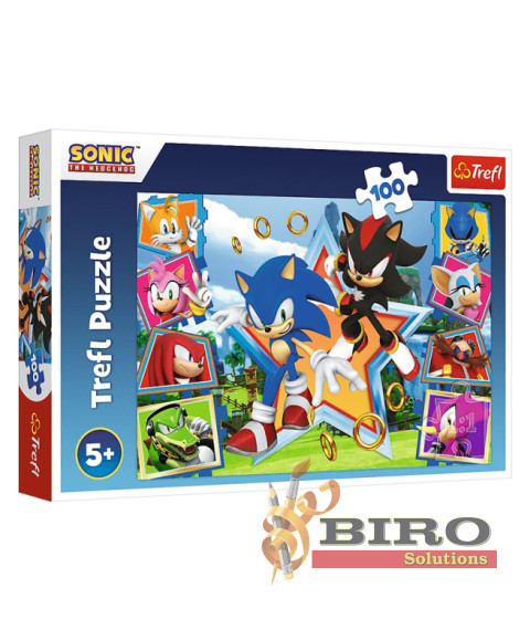 TF Puzzle "100" - "Meet Sonic / SEGA Sonic The Headgehog